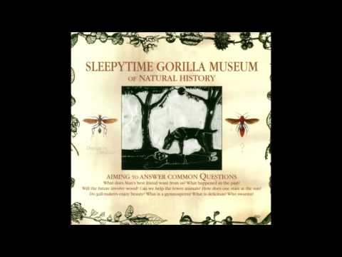 Sleepytime Gorilla Museum