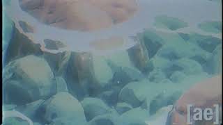 Adultswim Bump -  Rios