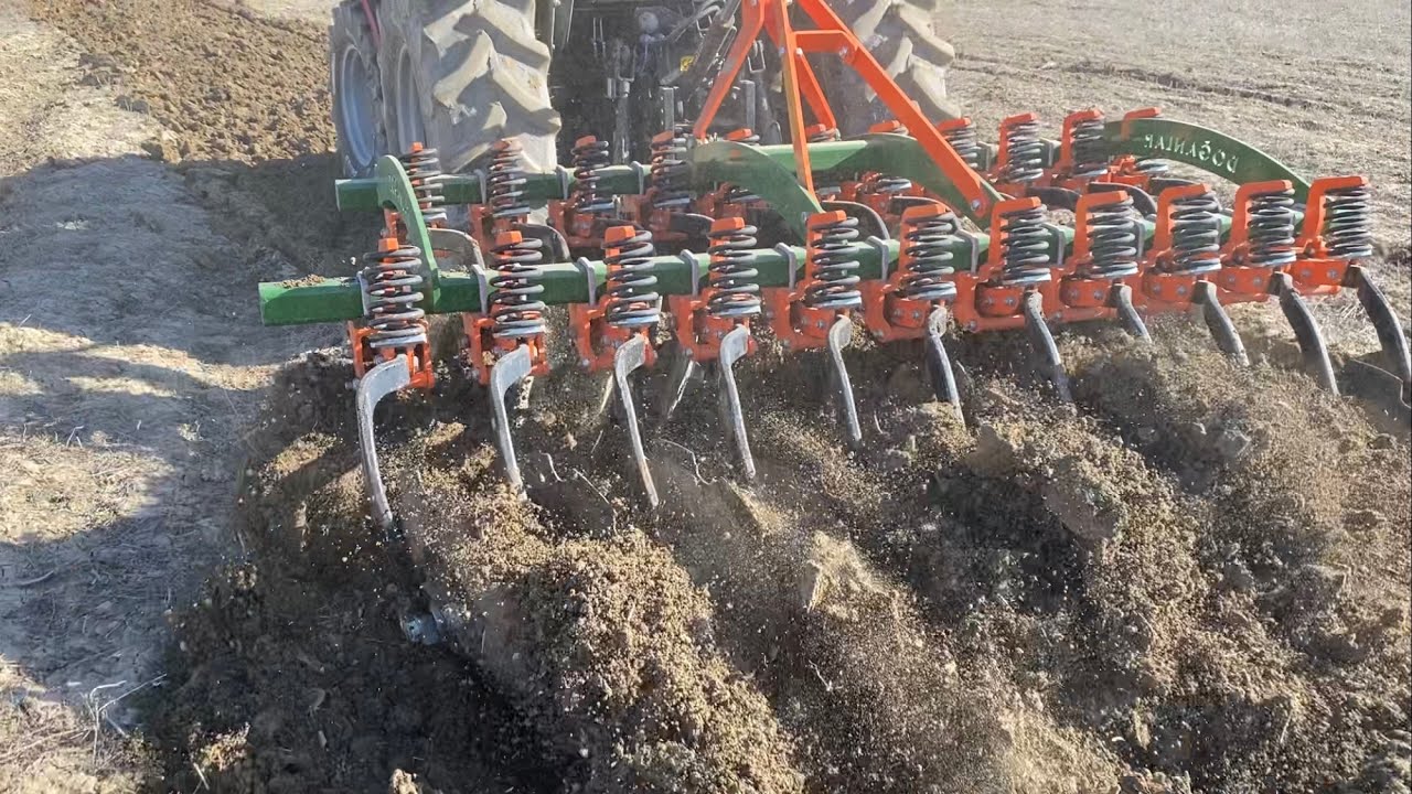 PULLUKSUZ YULAF EKİMİ