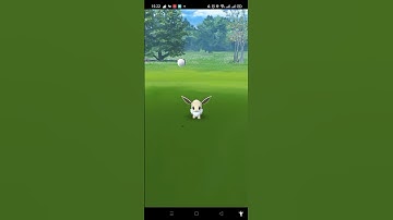 I Get Shiny Eevee in Eevee Community Day 2021 #shorts