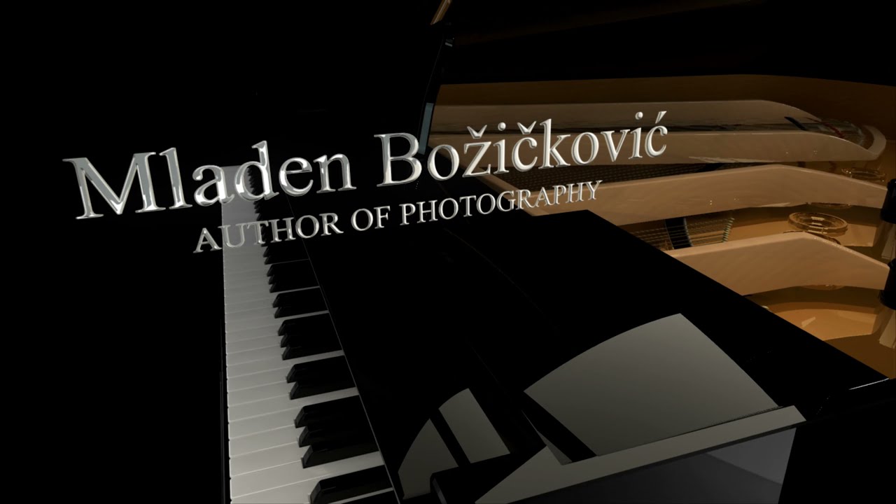 "CAPTURED MOVEMENTS" - Photo Piano Duo - PP2