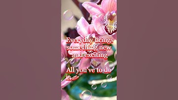 Thumbnail of Good Morning Wishes With Beautiful Messages and Quotes 💞 Good Morning Whatsapp Status