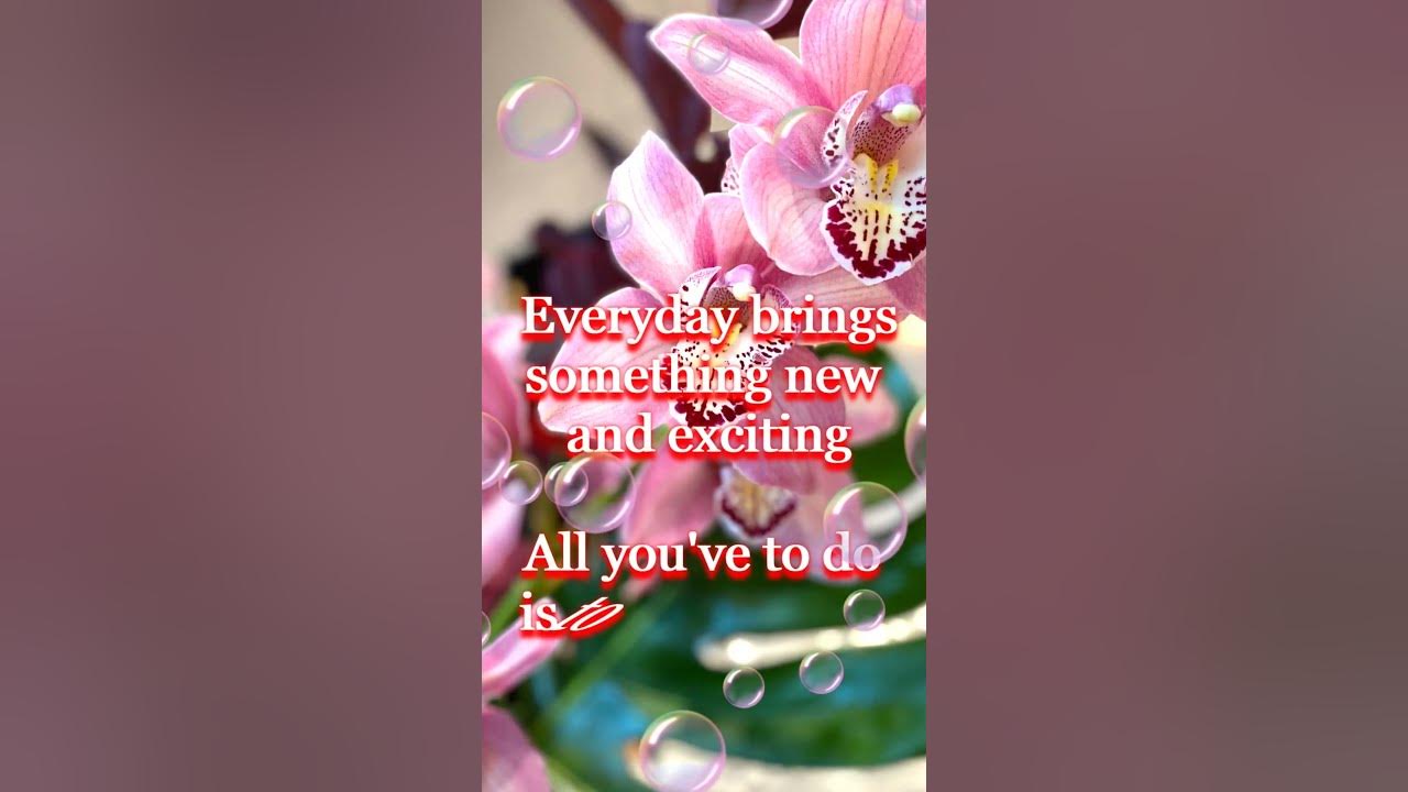 Good Morning Wishes With Beautiful Messages and Quotes 💞 Good Morning Whatsapp Status