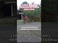 Cara Allah Menghapus Dosa Kita #katamutiara #islami #renungan #shorts