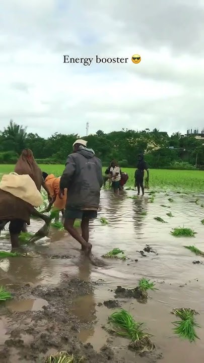 Booster %F0%9F%98%8E%F0%9F%98%82 %23energy %23farm %23farmer %23viral ...