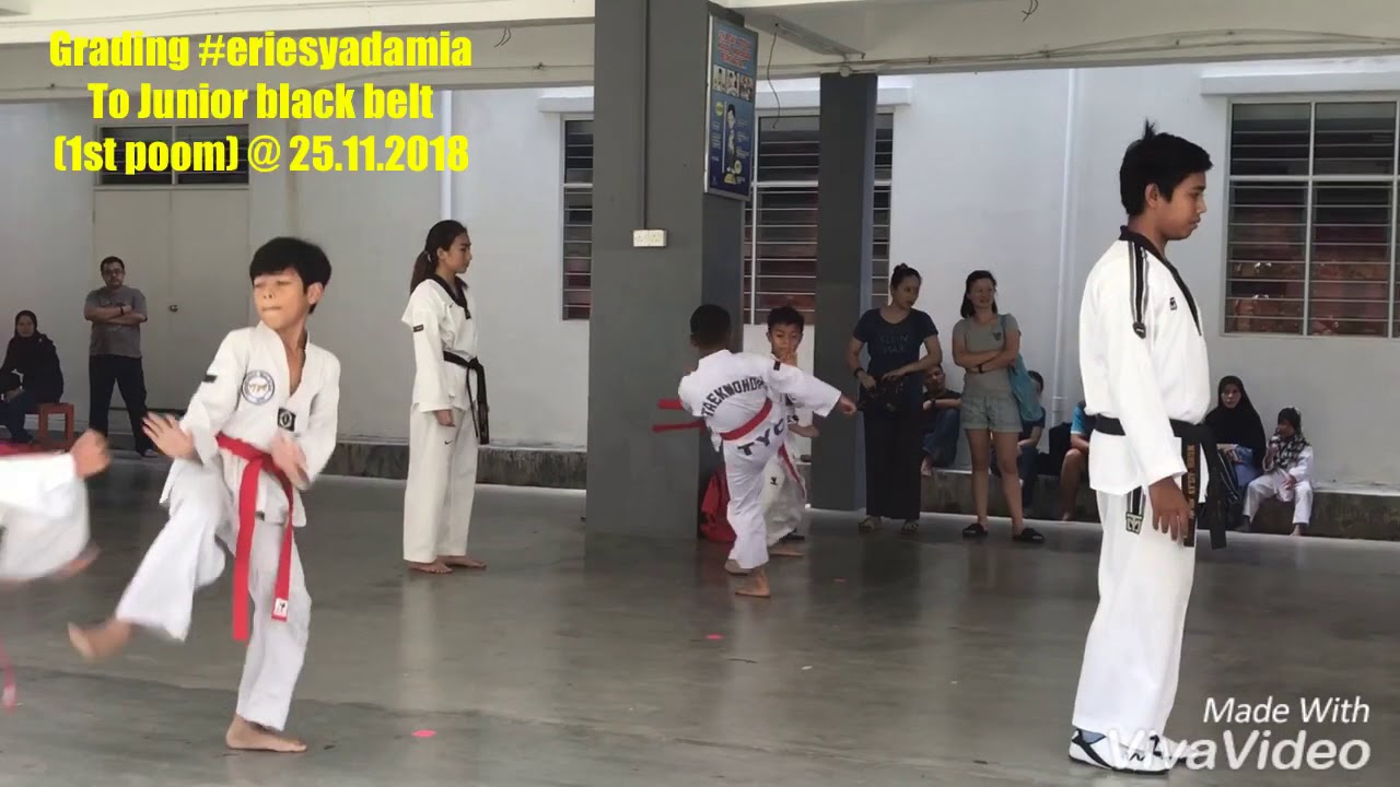 Junior black belt taekwondo - YouTube