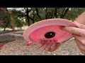 End of video
