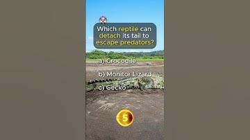 Quick Fire Quiz: Only Geniuses Survive! #shorts #foryou #trivia