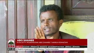 ABO Shanee
