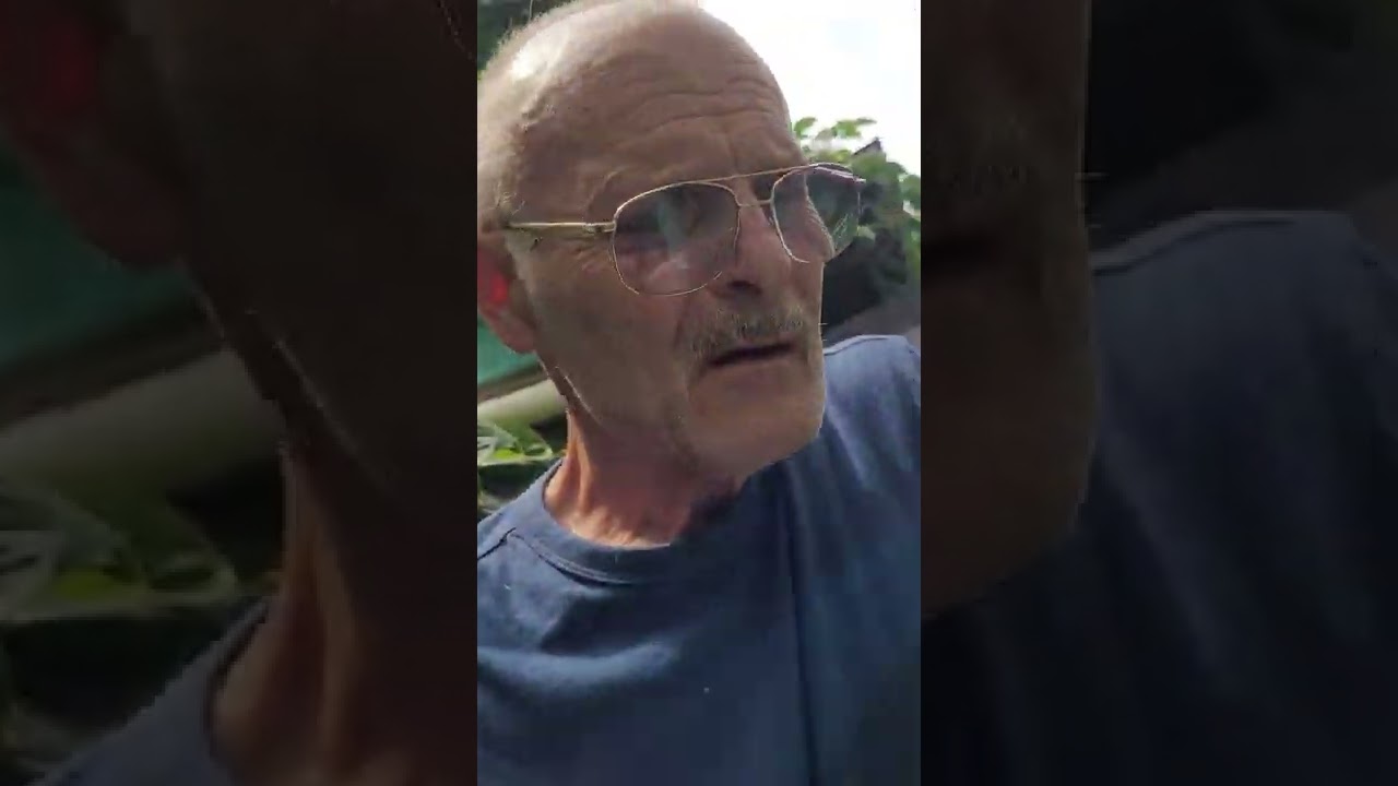 FIRST HONEY FLOW FRAME HARVESTED