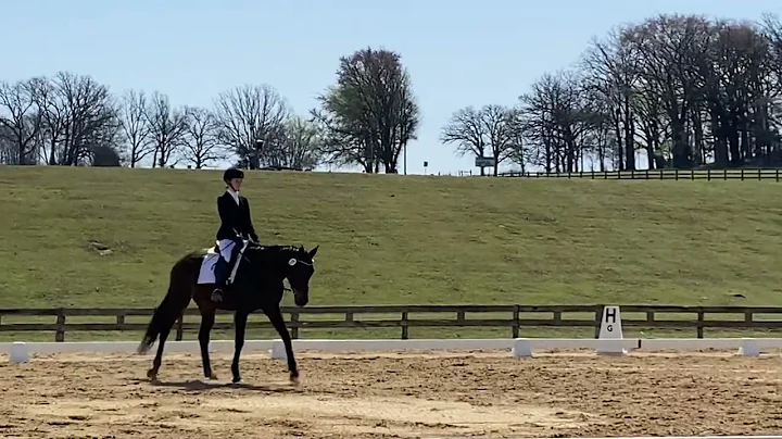 Wowee- texas rose march 2022 novice test A