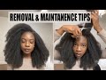 How to Safely Remove Crochet,  Best Hair to Buy, &amp; Maintenance Tips