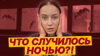 ВЛОГ Кто-то ЗАЛЕЗ в ДОМ НОЧЬЮ // Мы получили SIP Страховка в Испании Что НУЖНО ЗНАТЬ