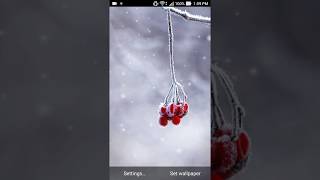 winter dreams live wallpaper screenshot 3