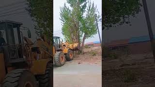 The Process Of Forklift Digging The Roadside Tree- Good Tools And Machinery Make Work Easy