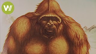 Bigfoot und Yeti - Sind es Fabelwesen oder haben sie wirklich gelebt? (360° - GEO Reportage)