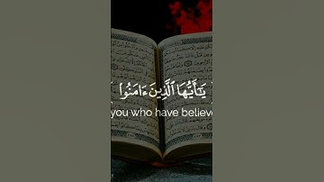 قرآن كريم 🌿 تلاوة من سورة البقرة القارئ 🌿 مؤيد المزين 🌿