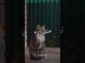 يا ربي من كل الوجوة تازمت مبروك زيد الخير يارب    