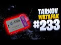 Tarkov Watafak #233 | Escape from Tarkov Funny and Epic Gameplay