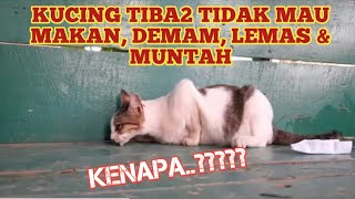 KUCING NGGAK MAU MAKAN LEMAS DAN MUNTAH