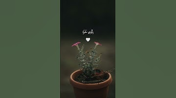 اختم بها يومك❤️#سورة_عبس #القرآن_الكريم #تلاوة_خاشعة #تدبر #قرآن #خشوع #ختمة_قرآن #عبس_وتولى