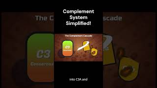 The Complement System Simplified!  #education #study#immunology