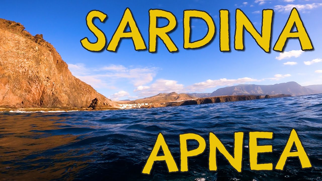 APNEA en SARDINA del Norte ★ GRAN CANARIA 🌊 7mares