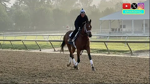 The Final Morning of 2025 Preakness Stakes Training 5/16/25