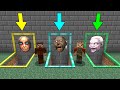 YANLIŞ KORKUNÇ MEZARI SEÇERSEN ÖLÜRSÜN #13 😱 - Minecraft