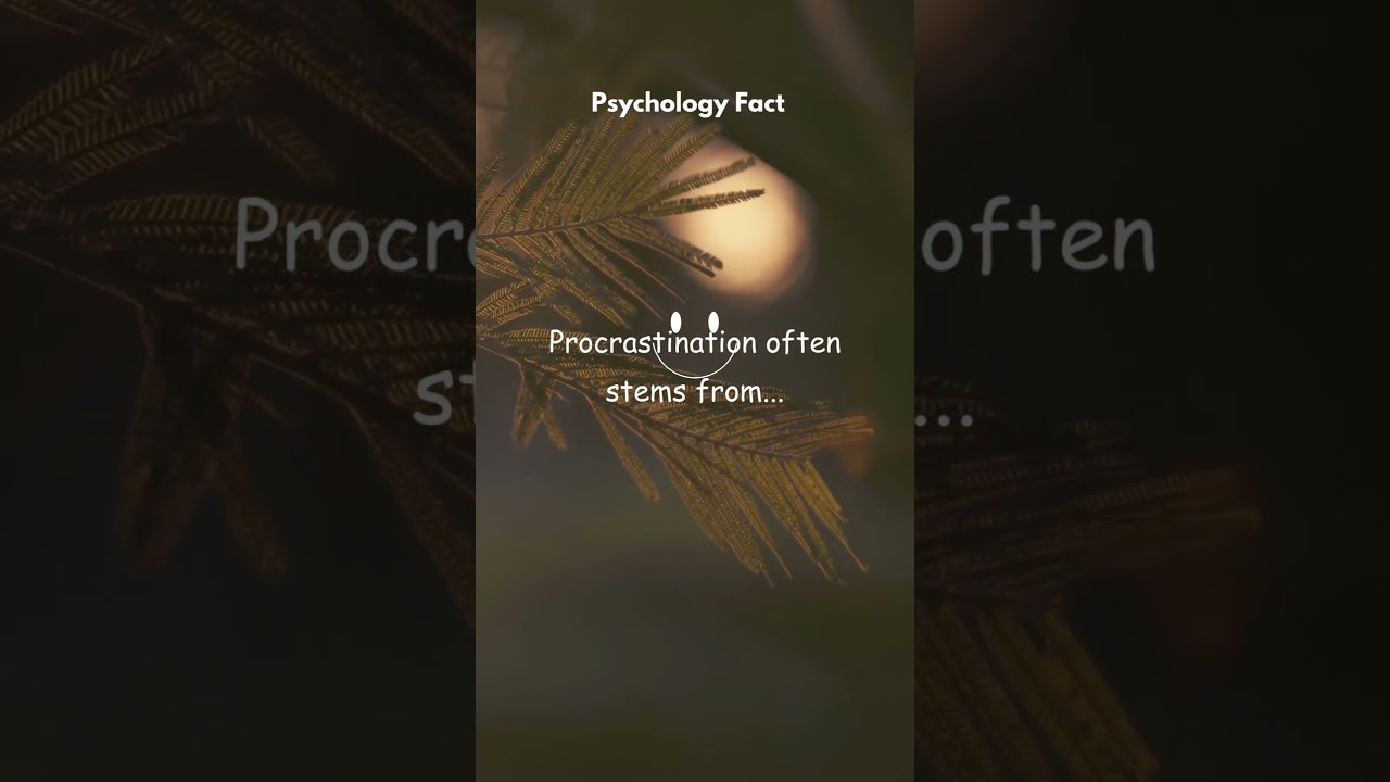 Understanding the Bystander Effect: Why We Hesitate to Help in Emergencies 