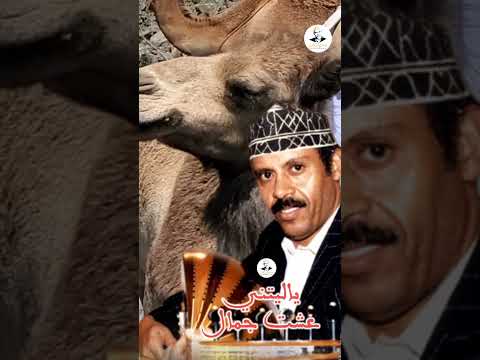 يا ليتني عشت جمال |ايوب طارش