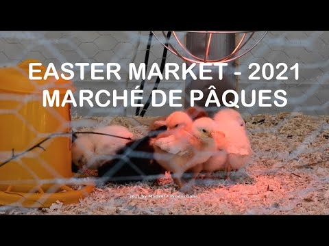 🐥 Easter Market - 2021 - Marché de Pâques - Sion - Switzerland