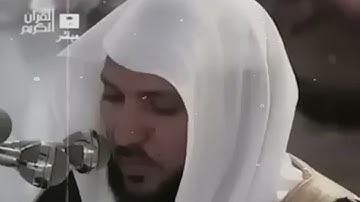 سوره البقره كامله بصوت الشيخ ماهر المعيقلي بدون إعلانات