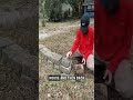 HOA rules say it’s a violation. But what happens when she physically can’t fix it