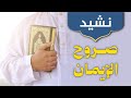 نشيد صروح الإيمان 