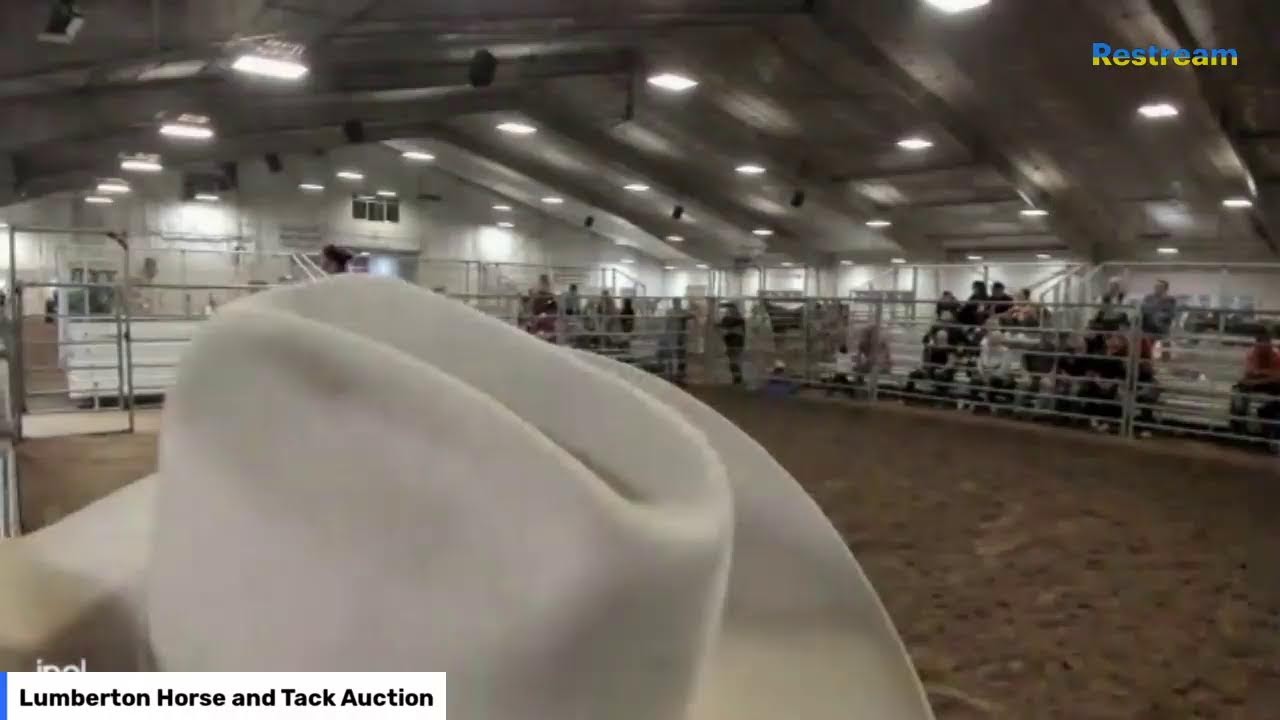 LUMBERTON HORSE AUCTION ONLINE BIDDING AVAILABLE AT bid