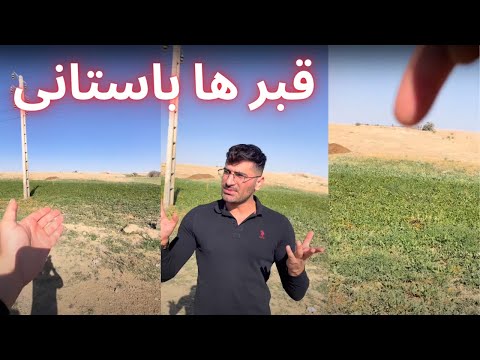 گنج در قبر ها باستانی