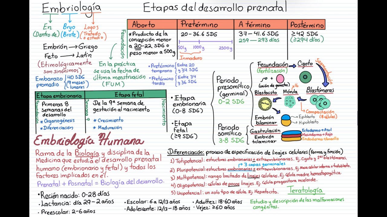 Embriología. Curso completo. Tema 1: Generalidades