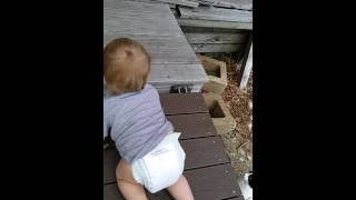 Cat saves baby