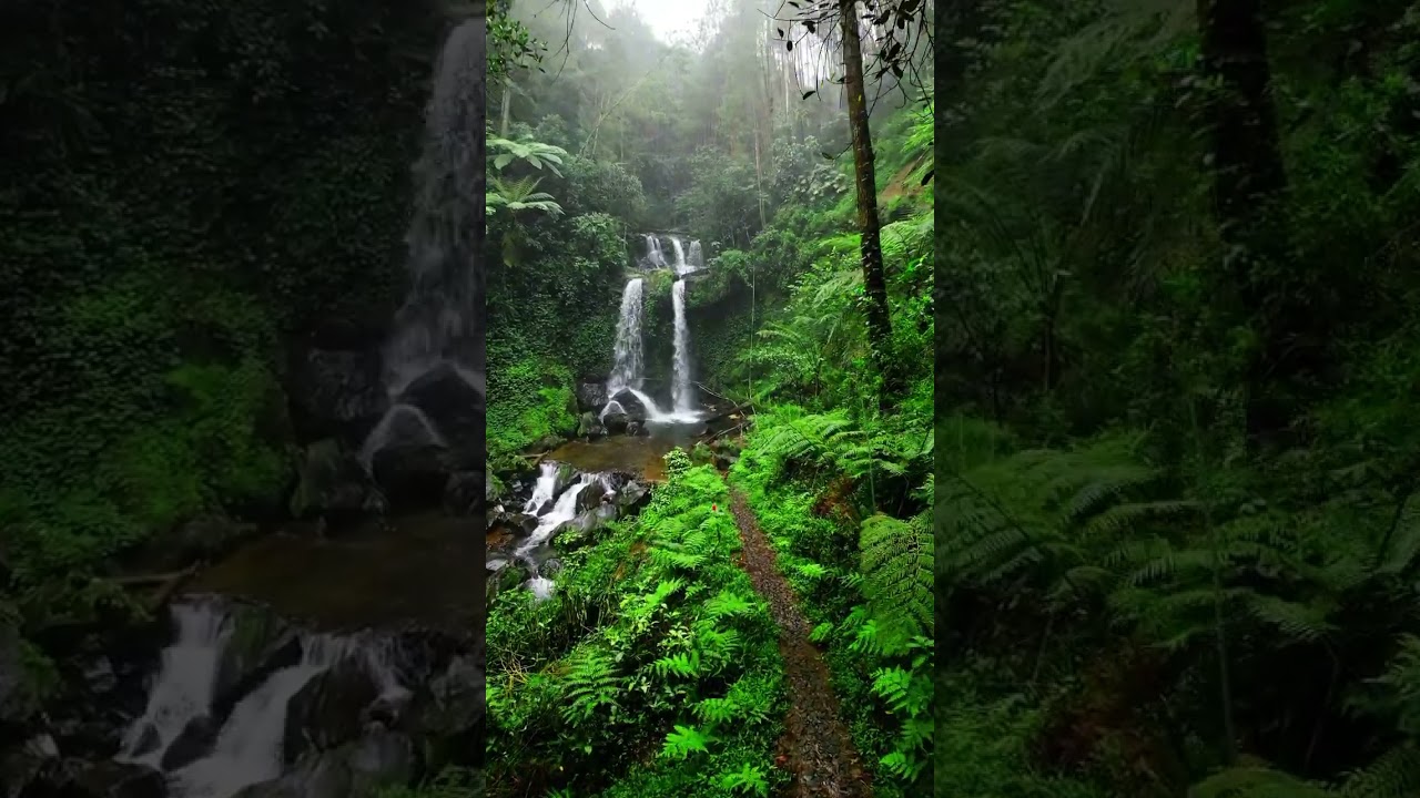 Mansoon days in Karnataka 🌧️🌲🌿 