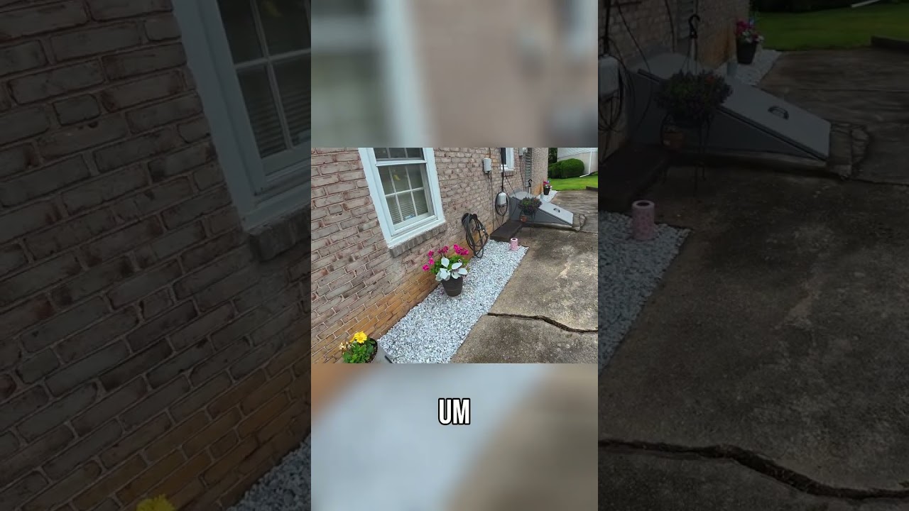 Weed Barrier Magic: No More Weeds, Happy Trees!