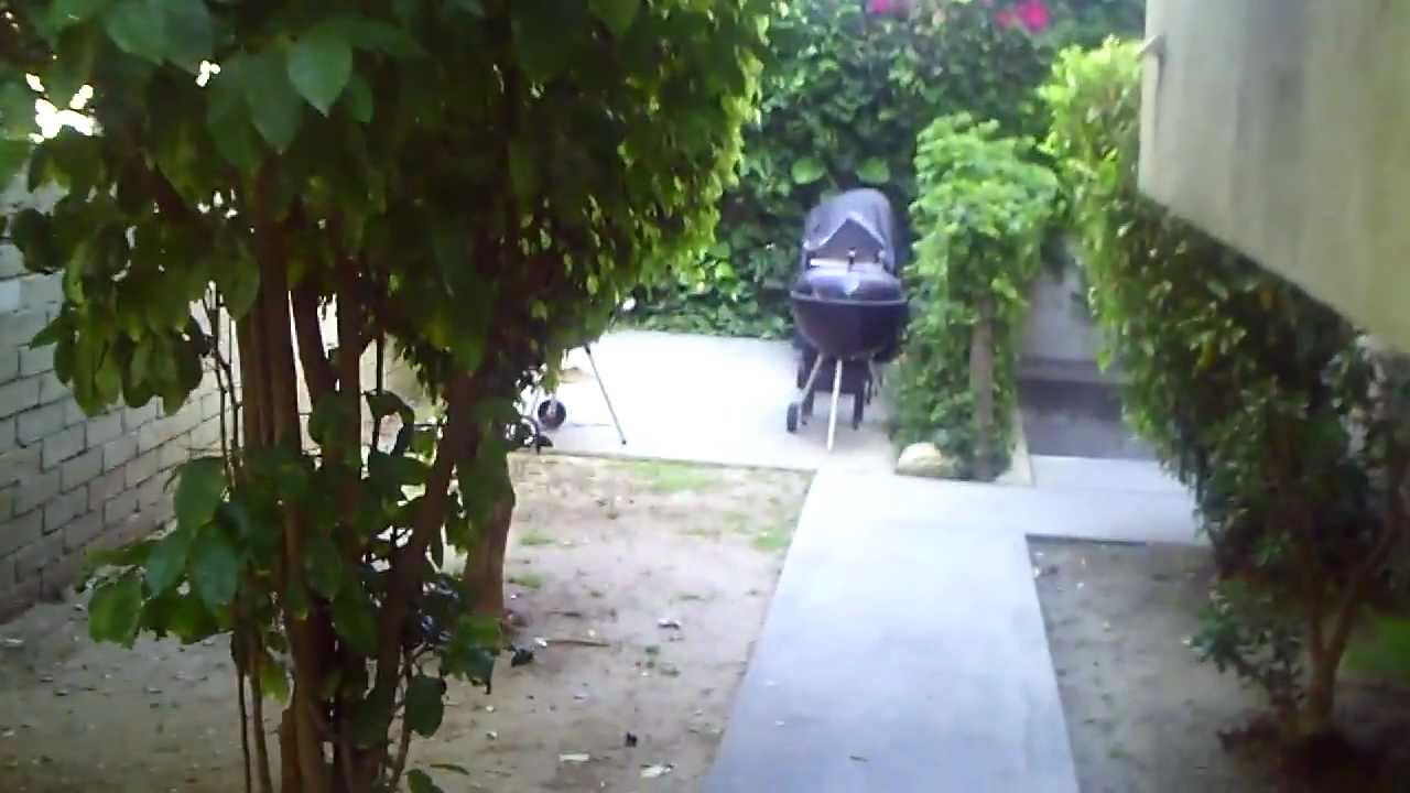 2 Story 1 Bed Loft For Rent In West LA Missouri Ave & Bentley Ave