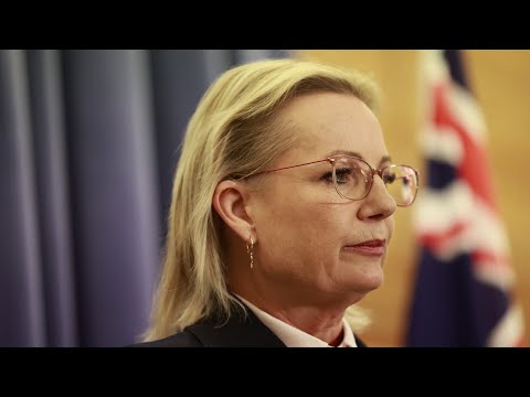 Sussan Ley has no ‘message to sell’