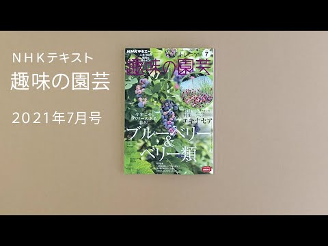 本まとめ売り 趣味の園芸 食彩浪漫 今日の健康 他 本まとめ売り 趣味の園芸 食彩浪漫 今日の健康 他 趣味の園芸』