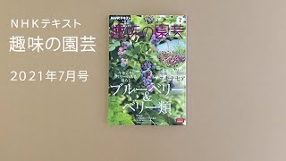 NHKテキスト『趣味の園芸』2021年7月号の紹介