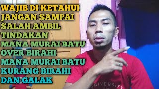 ciri ciri murai batu over birahi dan kurang birahi