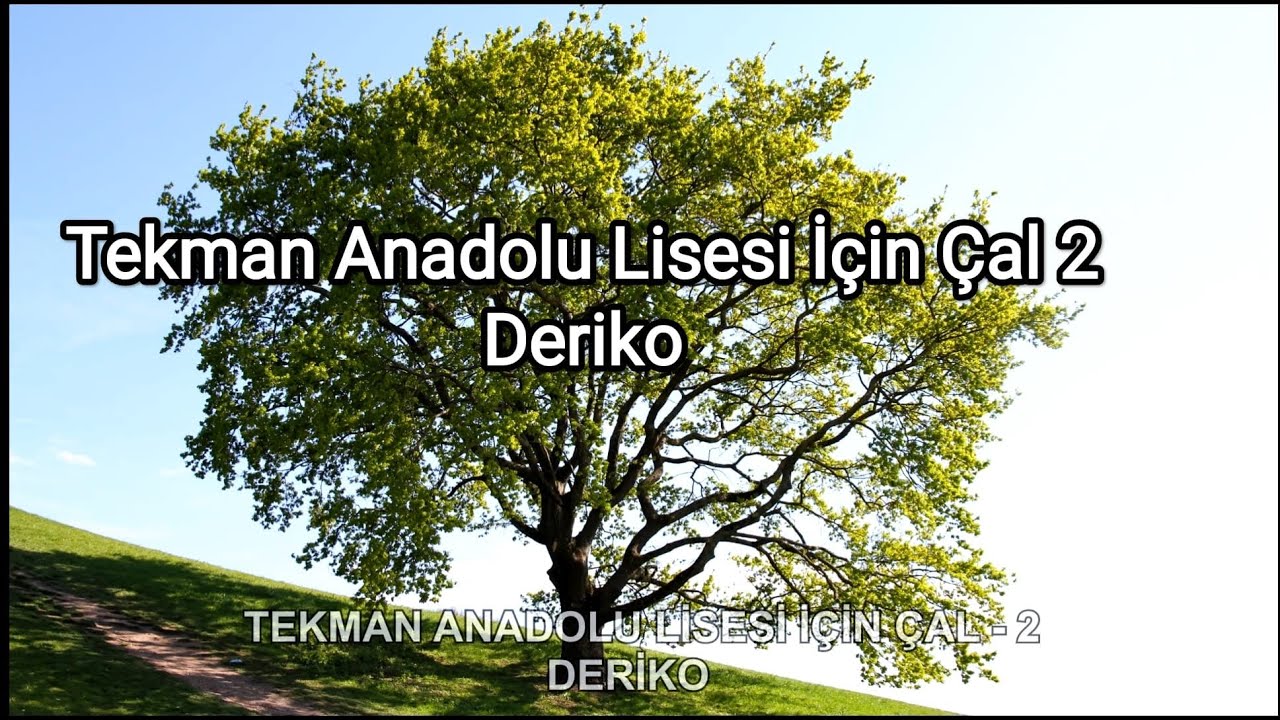 Tekman Anadolu Lisesi İçin Çal 2 - Deriko