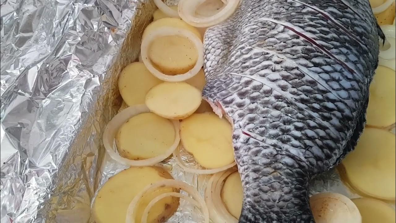 Receita de Tilapia assada com papel alumínio 🐟 YouTube