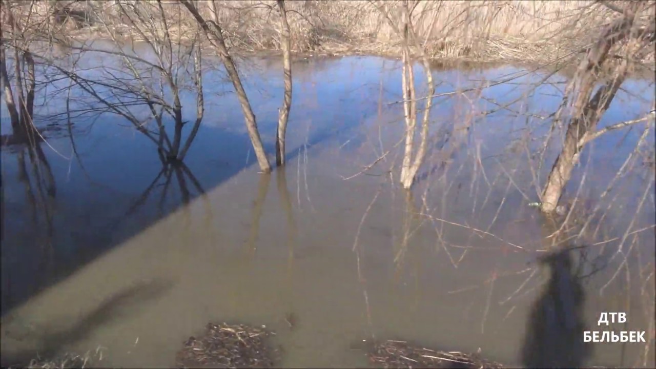 Река бельбек устье Река бельбек устье