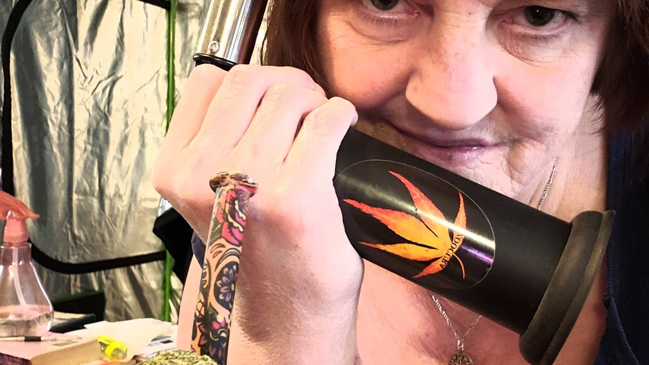 we need a 710failarmy lmao contender over here tokesntunes boomer learning series